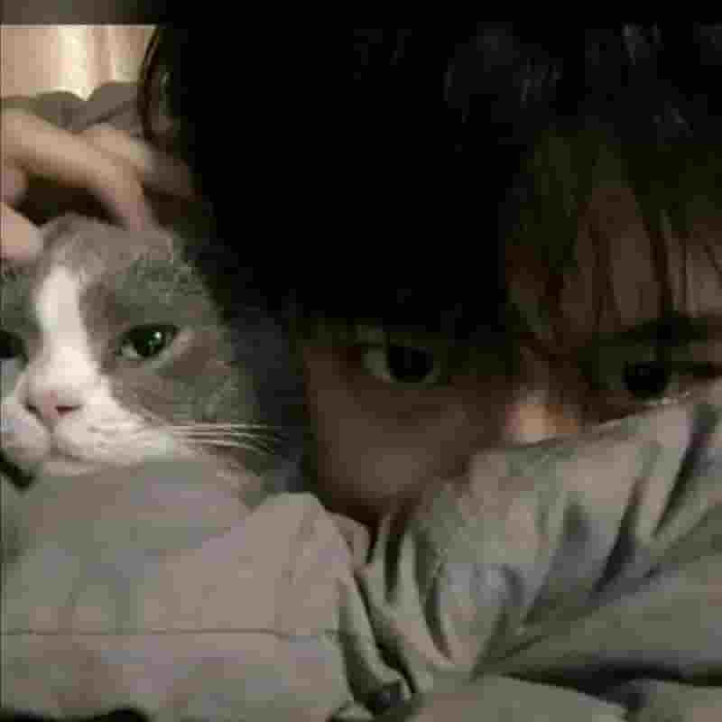 Handsome。