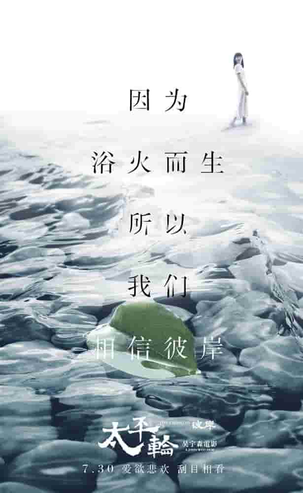 singal電視劇