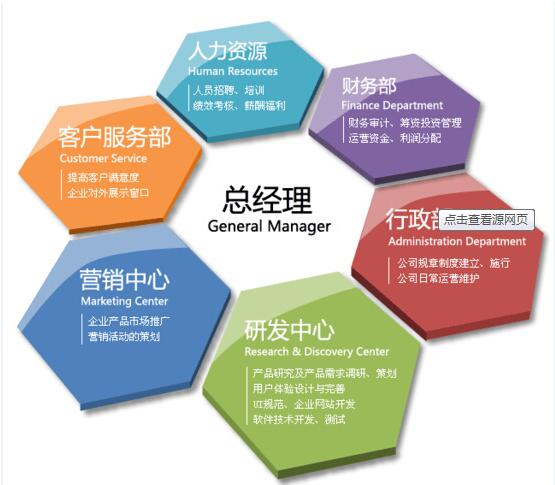 軟件研發(fā)與推廣企業(yè)的組織結(jié)構(gòu)設(shè)計(jì)